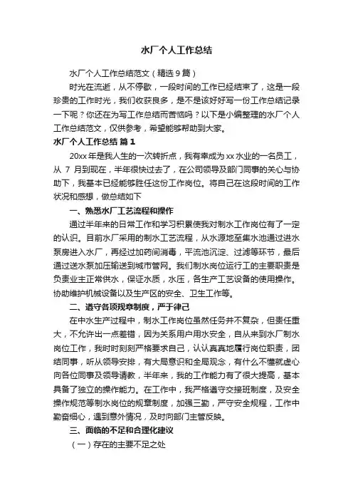 水厂个人工作总结