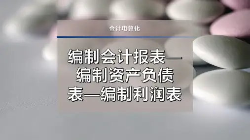 编制会计报表—编制资产负债表—编制利润表PPT模板