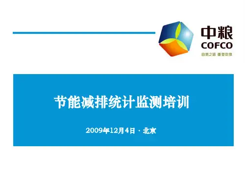 节能减排统计监测培训ppt
