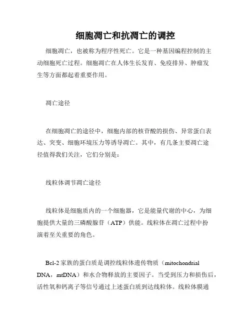 细胞凋亡和抗凋亡的调控