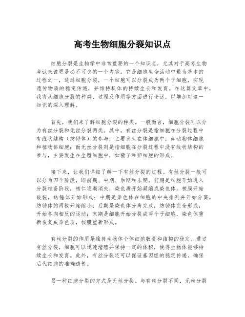 高考生物细胞分裂知识点