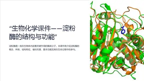“生物化学课件-淀粉酶的结构与功能”