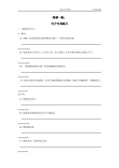 (部编六下语文)每课一练：句子专项(附答案)
