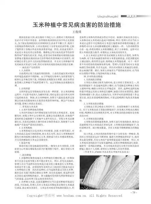 玉米种植中常见病虫害的防治措施
