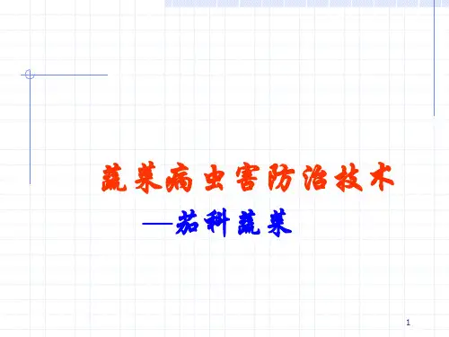 茄科蔬菜病虫害防治