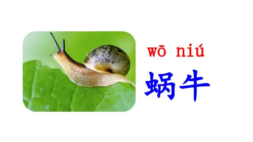 人教部编版语文《小蜗牛》PPT精美课件1