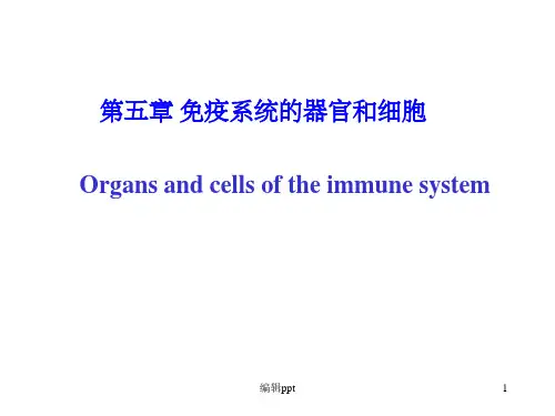 疫第5章免疫系统的组织器官和细胞