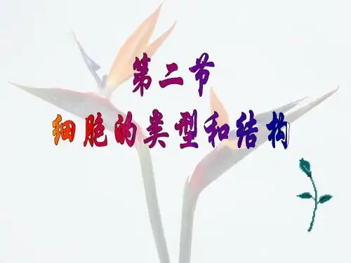 苏教版教学课件第三章-2 细胞的类型和结构 课件