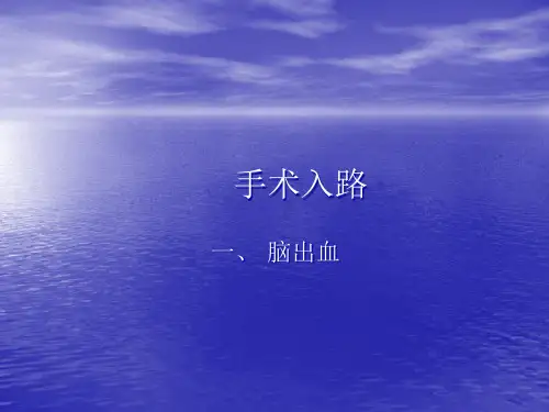 神经外科手术入路ppt优秀课件