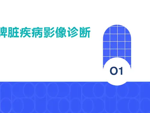 脾脏疾病影像学检查及诊断