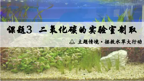 二氧化碳的实验室制取ppt课件