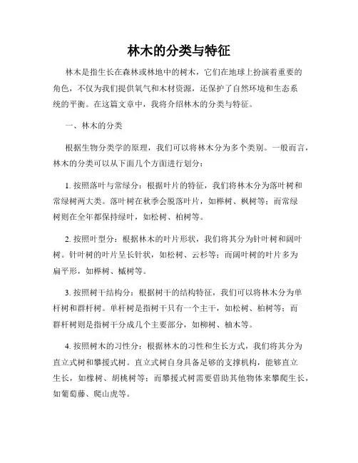林木的分类与特征