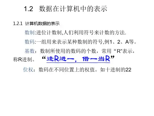 数据在计算机中的表示