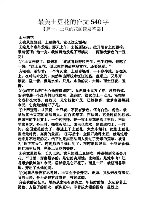 花作文之最美土豆花的作文540字