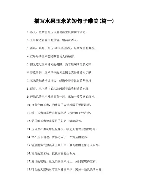 描写水果玉米的短句子唯美(精选合集2篇)