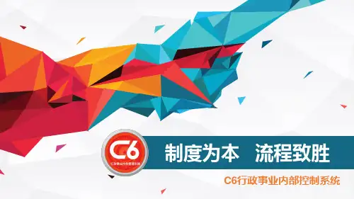 迈锐思C6内控系统介绍(直接客户版本)