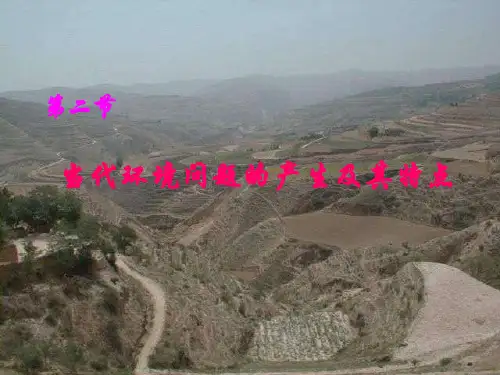 高中地理课件当代环境问题的产生及其特点25656