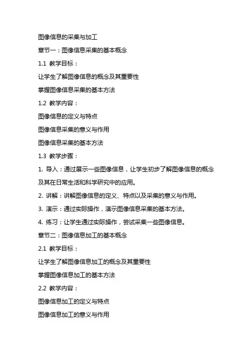 图像信息的采集与加工(教案)