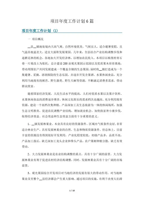 项目年度工作计划6篇