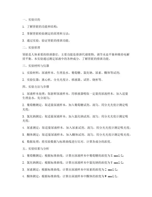肾脏检验测定实验报告