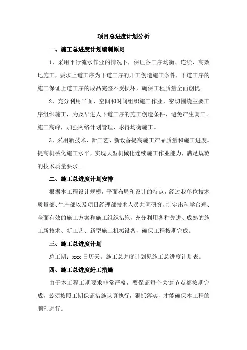 项目总进度计划分析