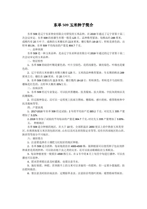 东单509玉米种子简介