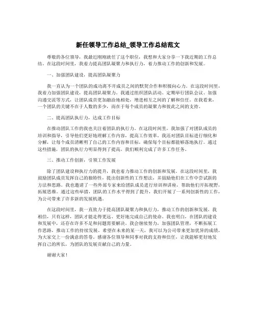 新任领导工作总结_领导工作总结范文