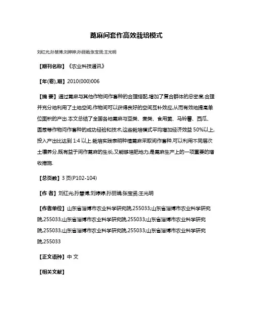 蓖麻间套作高效栽培模式