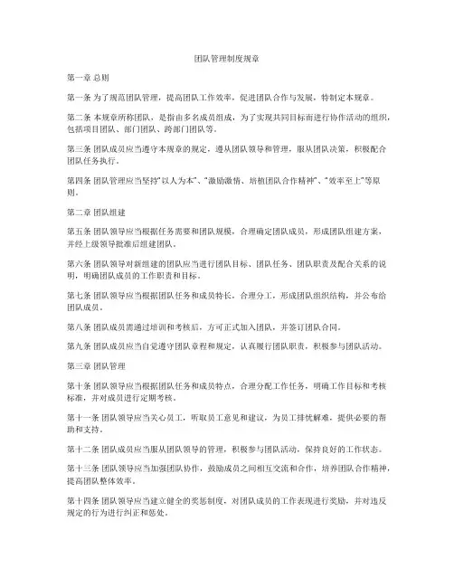 团队管理制度规章