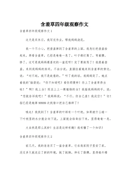 含羞草四年级观察作文