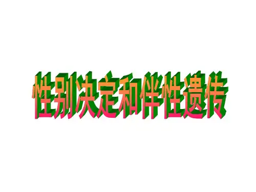 高中生物必修二伴性遗传 人教版