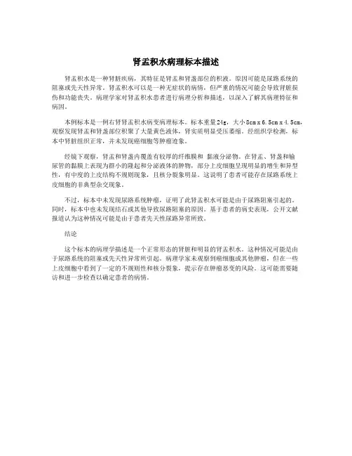 肾盂积水病理标本描述