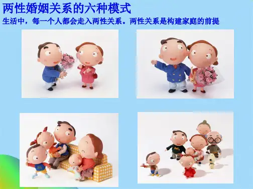 优选婚姻关系的六种模式了解ppt(共16张PPT)