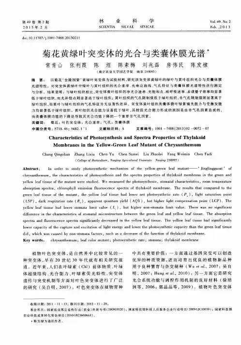 菊花黄绿叶突变体的光合与类囊体膜光谱