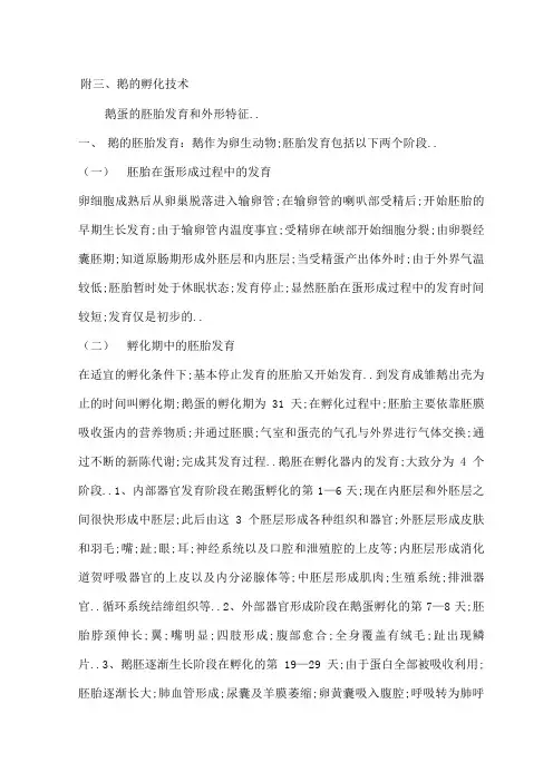 鹅的孵化技术