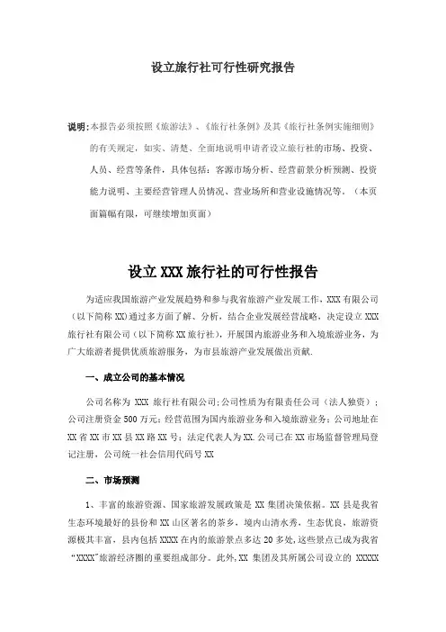 设立旅行社可行性研究报告docx