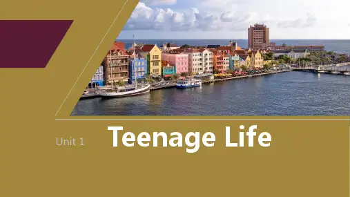 2024届高考一轮复习英语课件( 人教版)必修第一册 Unit 1 Teenage Life