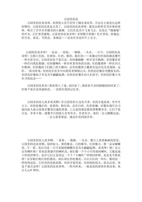 公园里的花