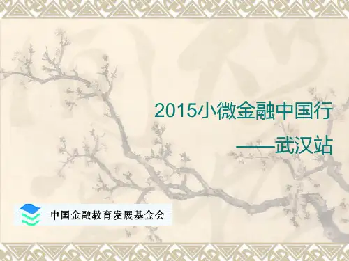 小微金融业务评估技术与风险控制(PPT 页)