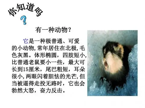 旅鼠之谜优秀课件