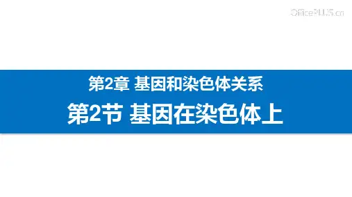 【公开课】基因在染色体上课件2022-2023学年高一下学期生物人教版必修2