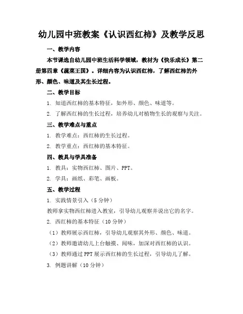 幼儿园中班教案《认识西红柿》及教学反思(2)