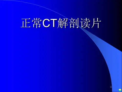 正常CT解剖PPT课件全
