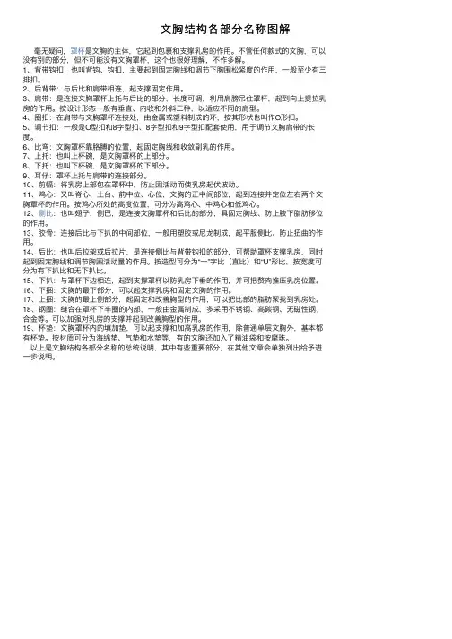 文胸结构各部分名称图解