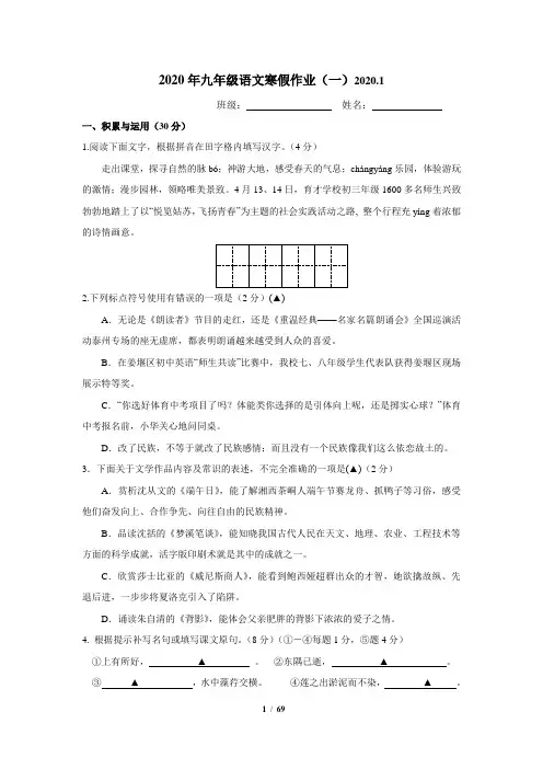 2020年九年级语文寒假作业(有答案)