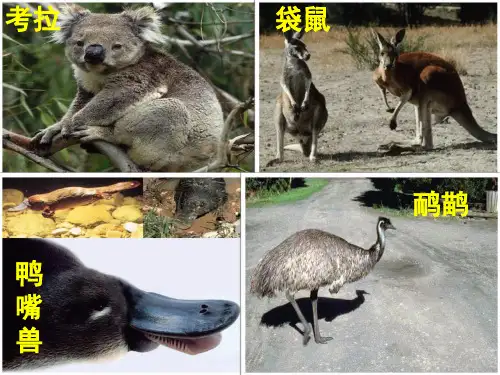 高中区域地理学科 澳大利亚课件 公开课 