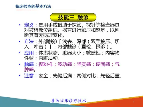 兽医临床诊断技术—临床检查的基本方法