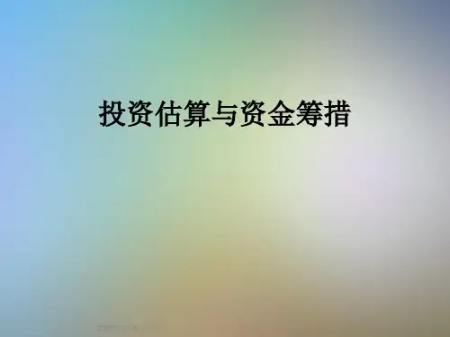 投资估算与资金筹措