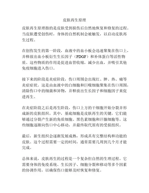 皮肤再生原理