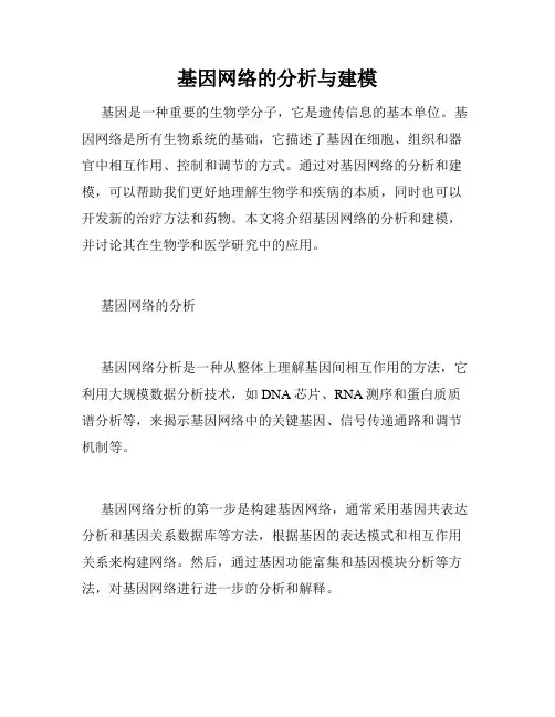 基因网络的分析与建模